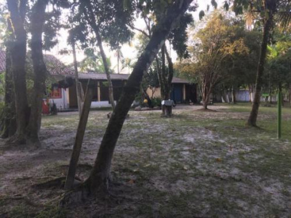 Imagem Chácara com 2 Quartos à Venda, 4.000 m² em Jd. Coronel - Itanhaém