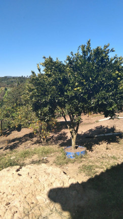 Imagem Terreno à Venda, 14.000 m² em Parque Recanto Mônica - Itaquaquecetuba