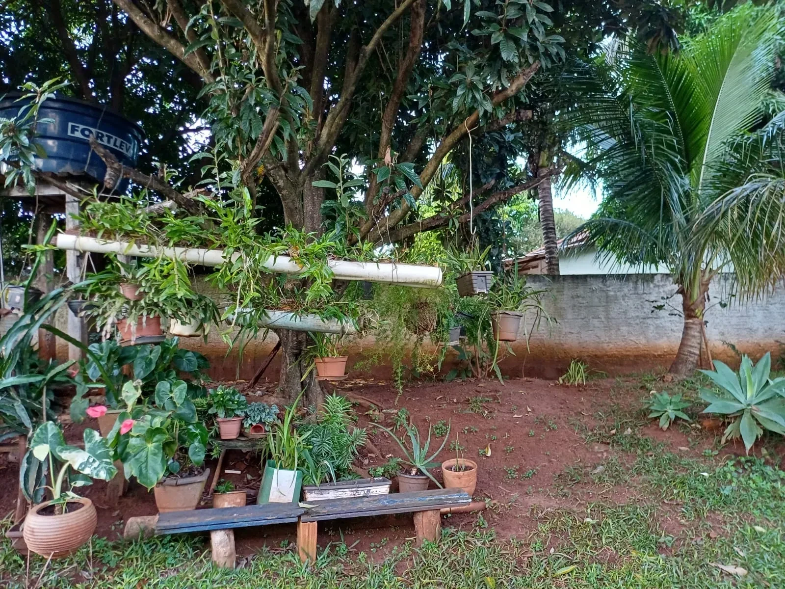 Imagem Chácara com 6 Quartos à Venda, 400 m² em Pitangueiras - Pitangueiras