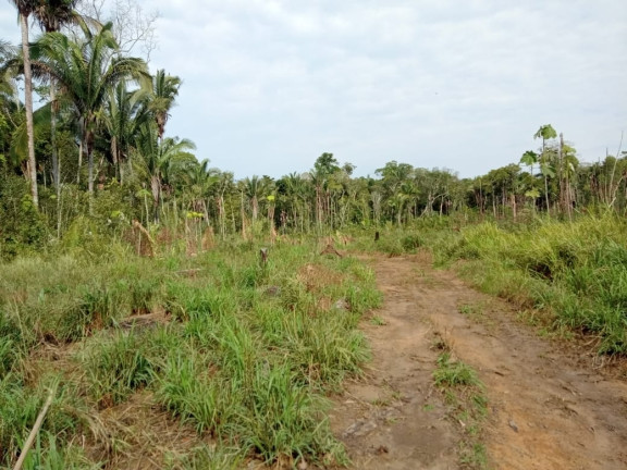 Imagem Terreno à Venda, 2.000 m² em Zona Rural - Humaitá