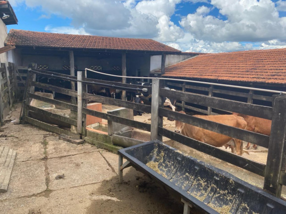 Imagem Chácara com 7 Quartos à Venda, 58.000 m² em Olhos  D'água  - Alexânia  - GO - Alexânia