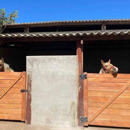Imagem Fazenda à Venda, 8 HAem ZONA RURAL - Cocalinho