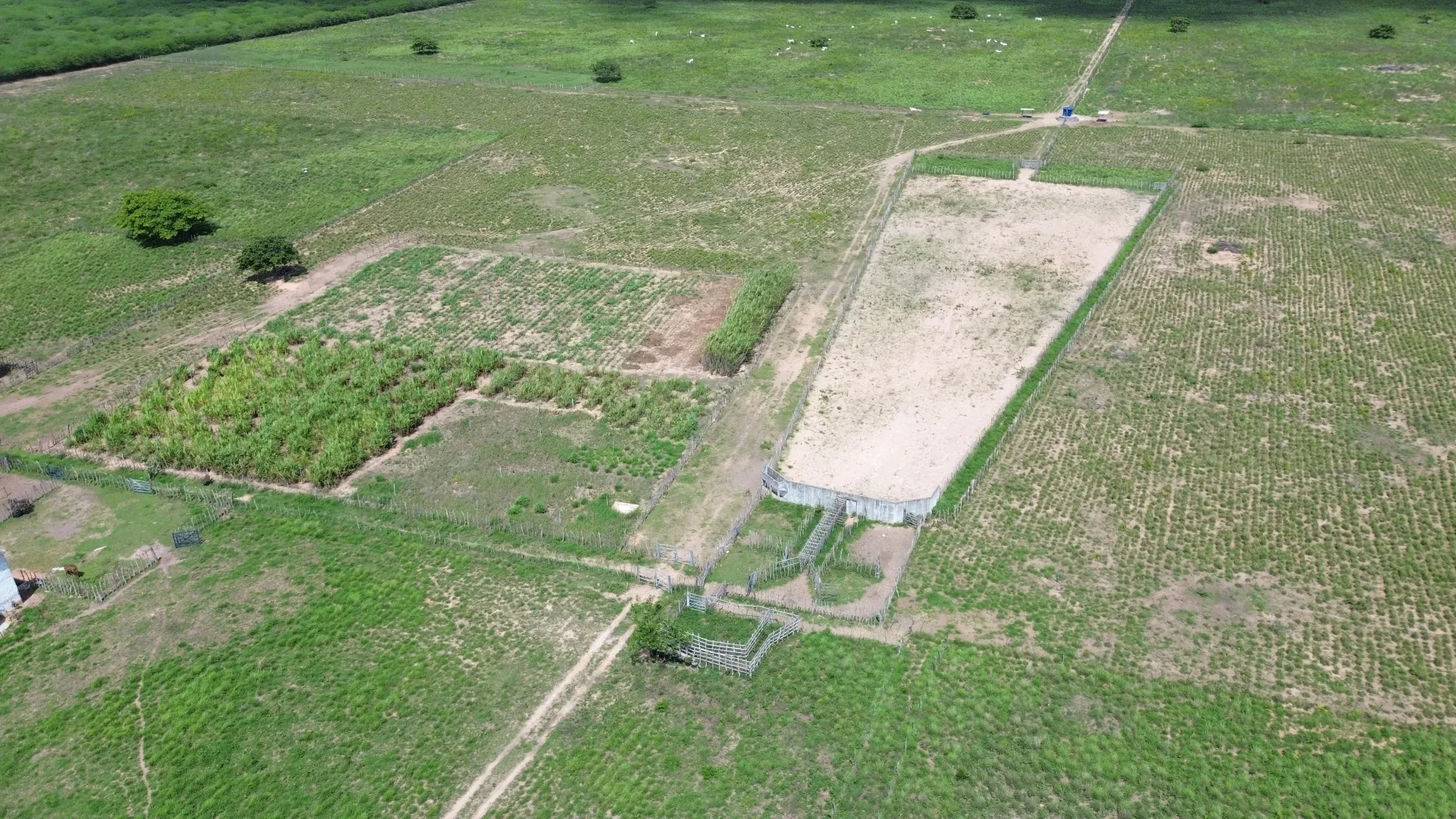 Foto do imóvel: Fazenda à Venda, 100 HA em Fabrício Pedroza - Macaíba