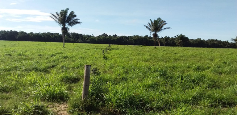 Imagem Fazenda à Venda, 455 HA em zona Rural - Santarém Novo