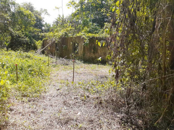 Imagem Terreno à Venda,  em Marituba - Ananindeua