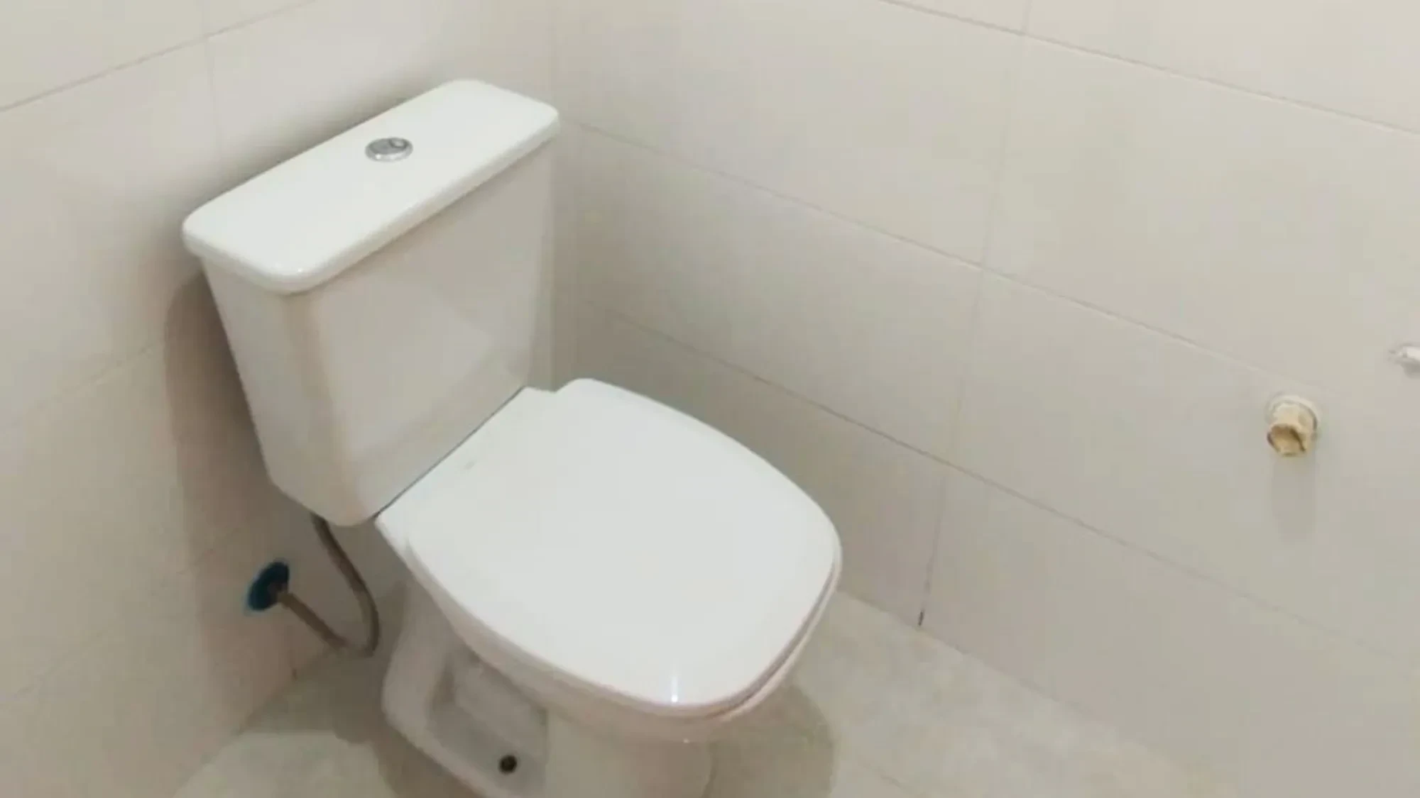 Imagem Casa com 3 Quartos à Venda, 100 m² em Embaré - Santos