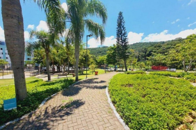Imagem Apartamento com 2 Quartos à Venda, 64 m² em Córrego Grande - Florianópolis