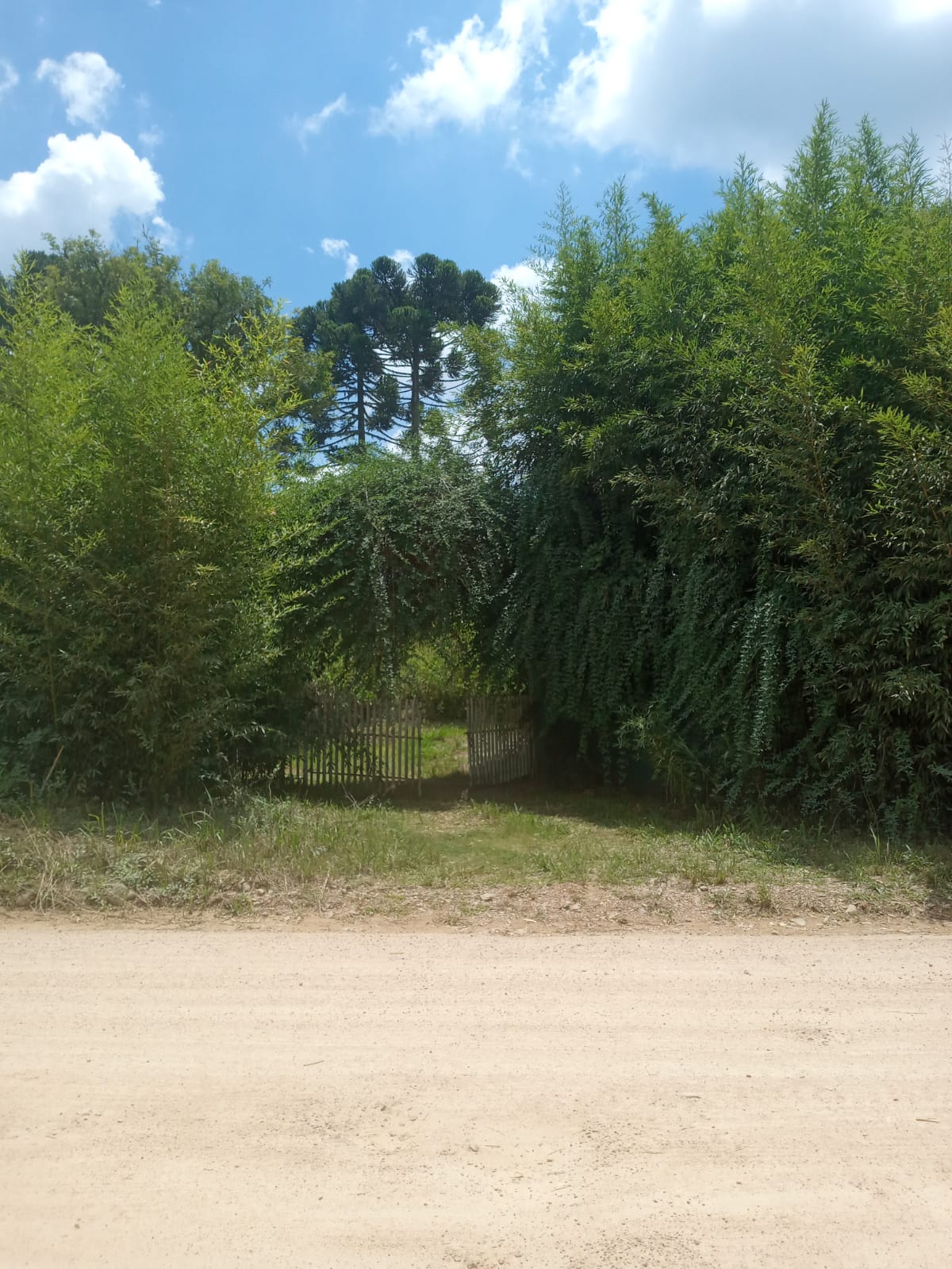 Foto do imóvel: Terreno à Venda, 19.965 m² em Itália - São José dos Pinhais