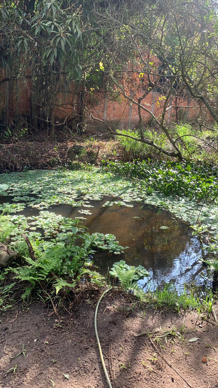 Foto do imóvel: Terreno à Venda, 17.850 m² em Realengo - Rio de Janeiro