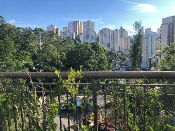 Imagem Apartamento com 4 Quartos à Venda, 195 m² em Vila Andrade - São Paulo