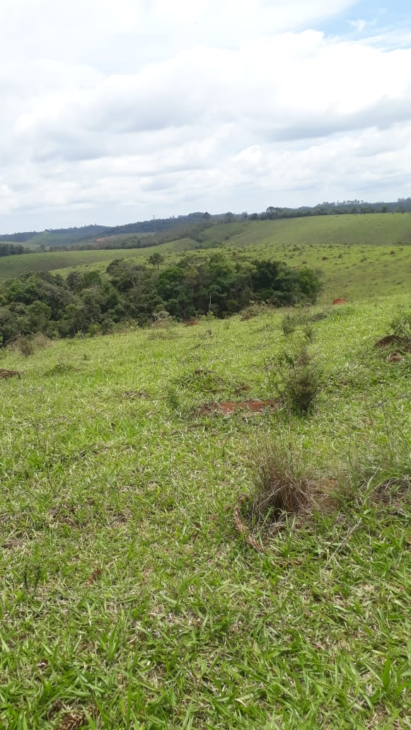 Imagem Fazenda à Venda, 414 HAem Centro - Barbacena