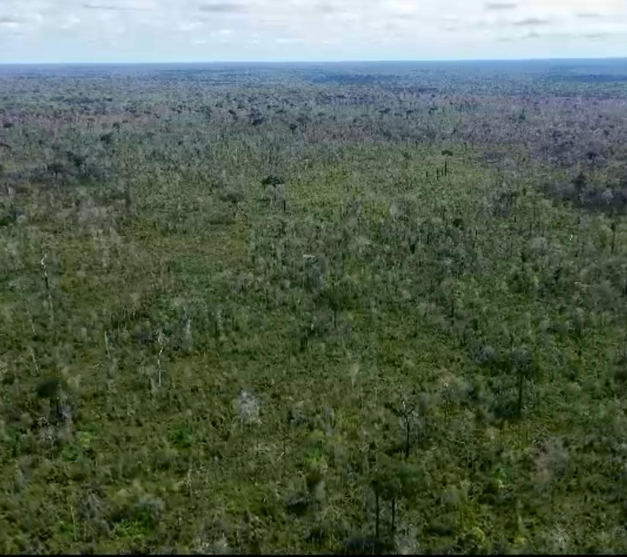 Imagem Fazenda à Venda, 1 HAem Área Rural de Santarém - Santarém