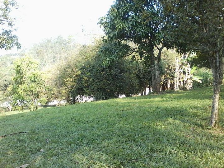 Imagem Chácara com 5 Quartos à Venda, 7.485 m² em Palmeiras De São Paulo - Suzano