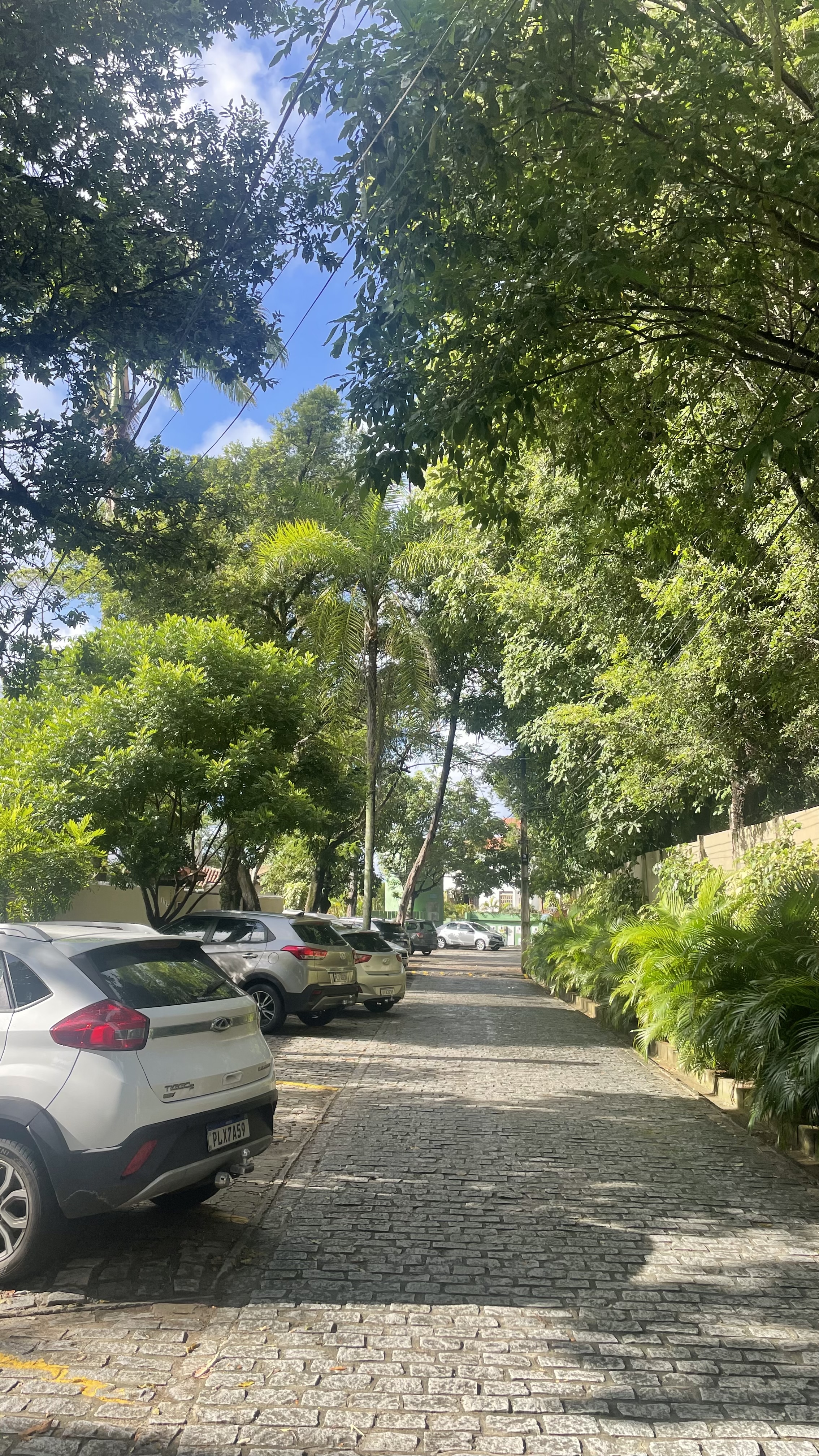 Imagem Casa de Condomínio com 2 Quartos para Alugar, 70 m²em São Cristóvão - Salvador