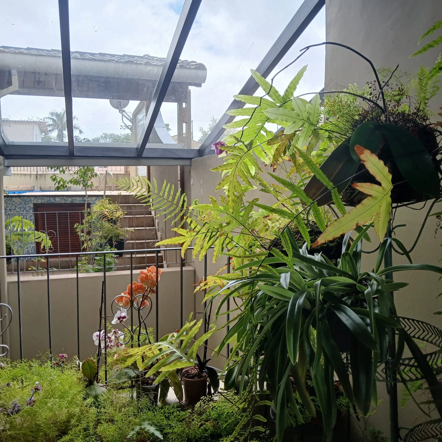 Foto do imóvel: Sobrado com 3 Quartos à Venda, 259 m² em Nova Petrópolis - São Bernardo do Campo