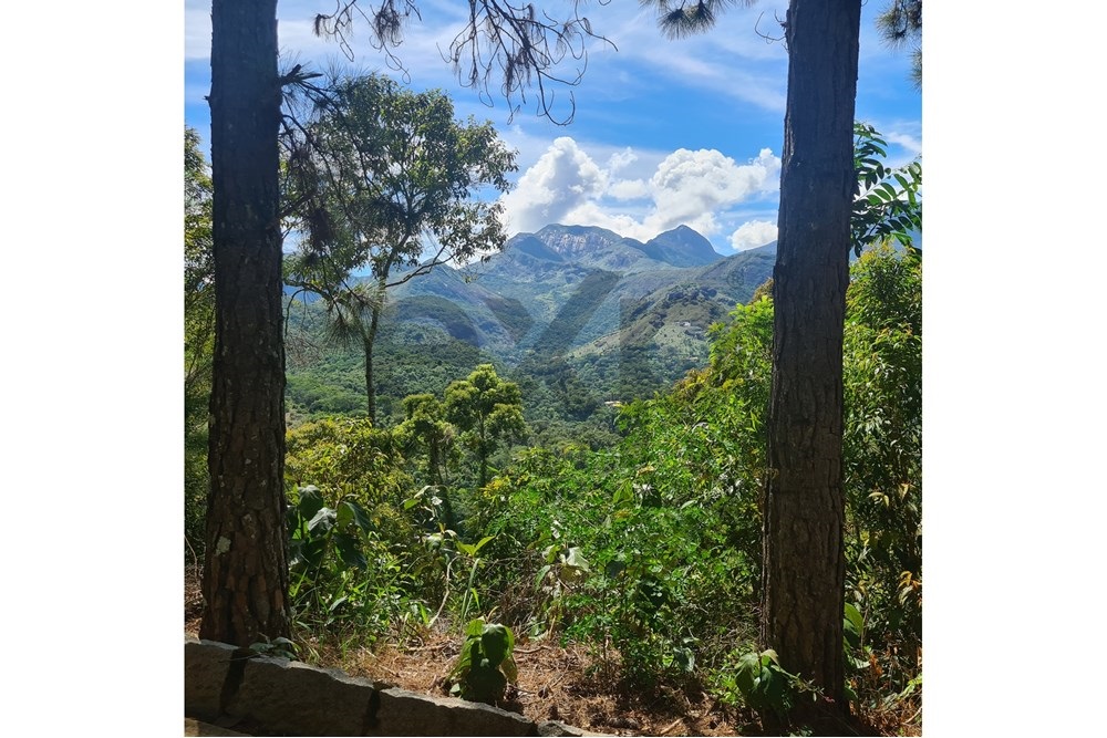 Imagem Terreno à Venda, 5.030 m² em Cuiabá - Petrópolis