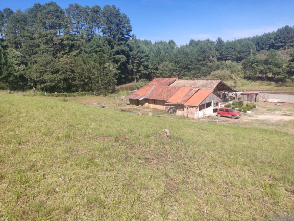 Imagem Chácara com 3 Quartos à Venda, 3.196 m² em Lagoa dos Souza - Agudos do Sul