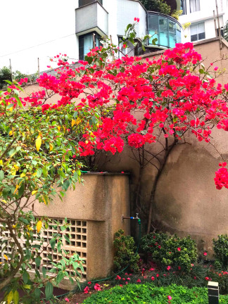 Foto do imóvel: Apartamento com 3 Quartos à Venda, 192 m²em Paraíso - São Paulo