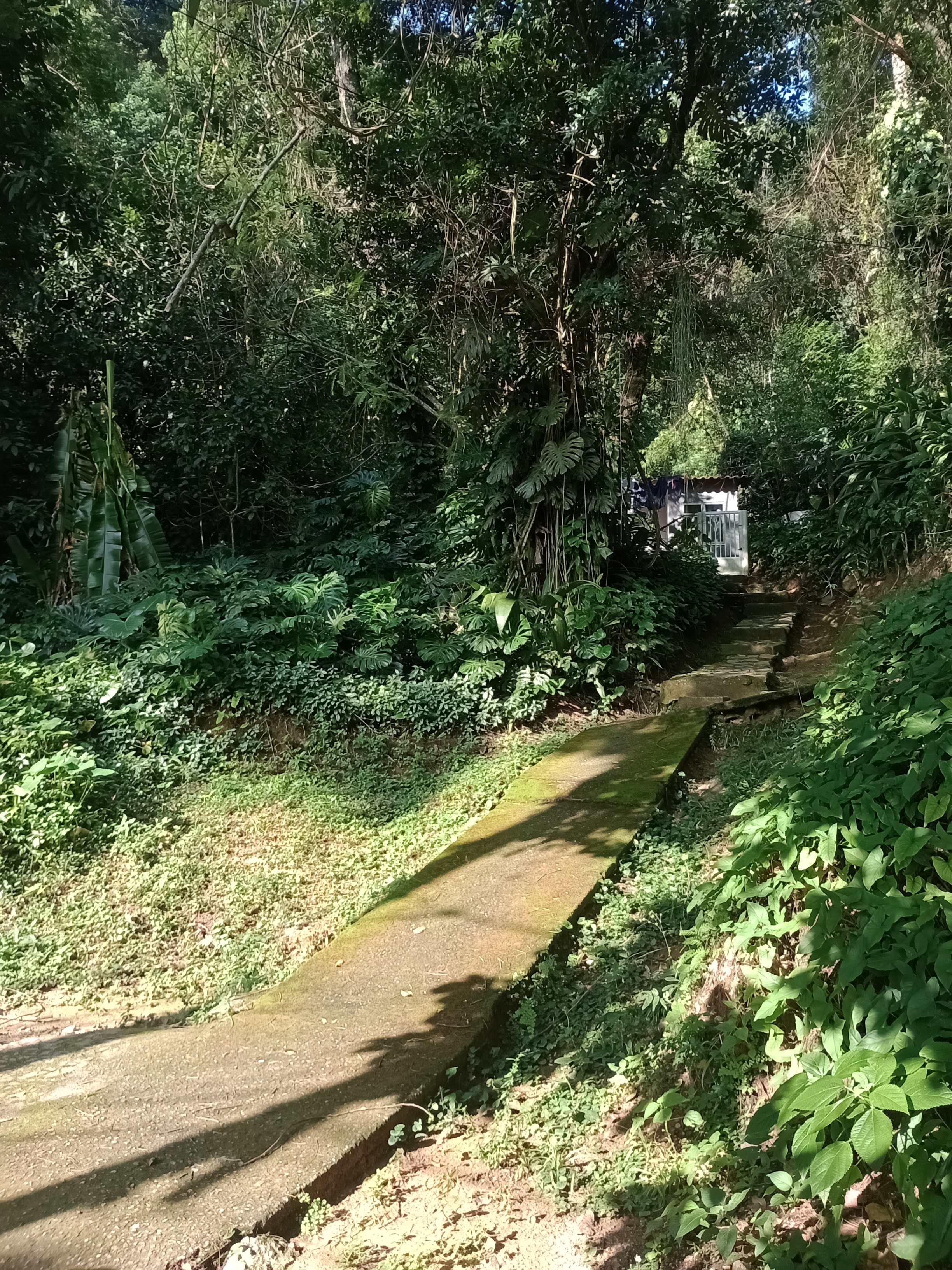 Imagem Terreno à Venda, 12.653 m² em Alto da Boa Vista - Rio de Janeiro