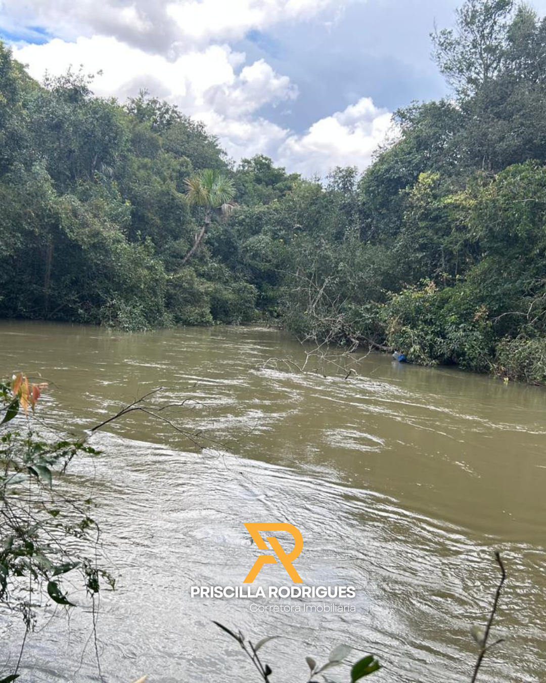 Imagem Fazenda à Venda, 10 HA em  - 