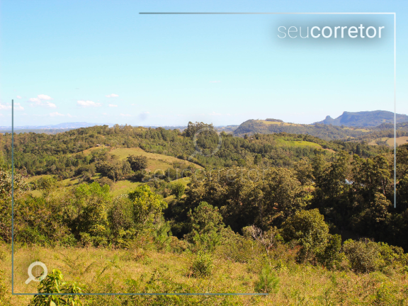 Imagem Chácara com 4 Quartos à Venda, 50.000 m² em Zona Rural - taquara 