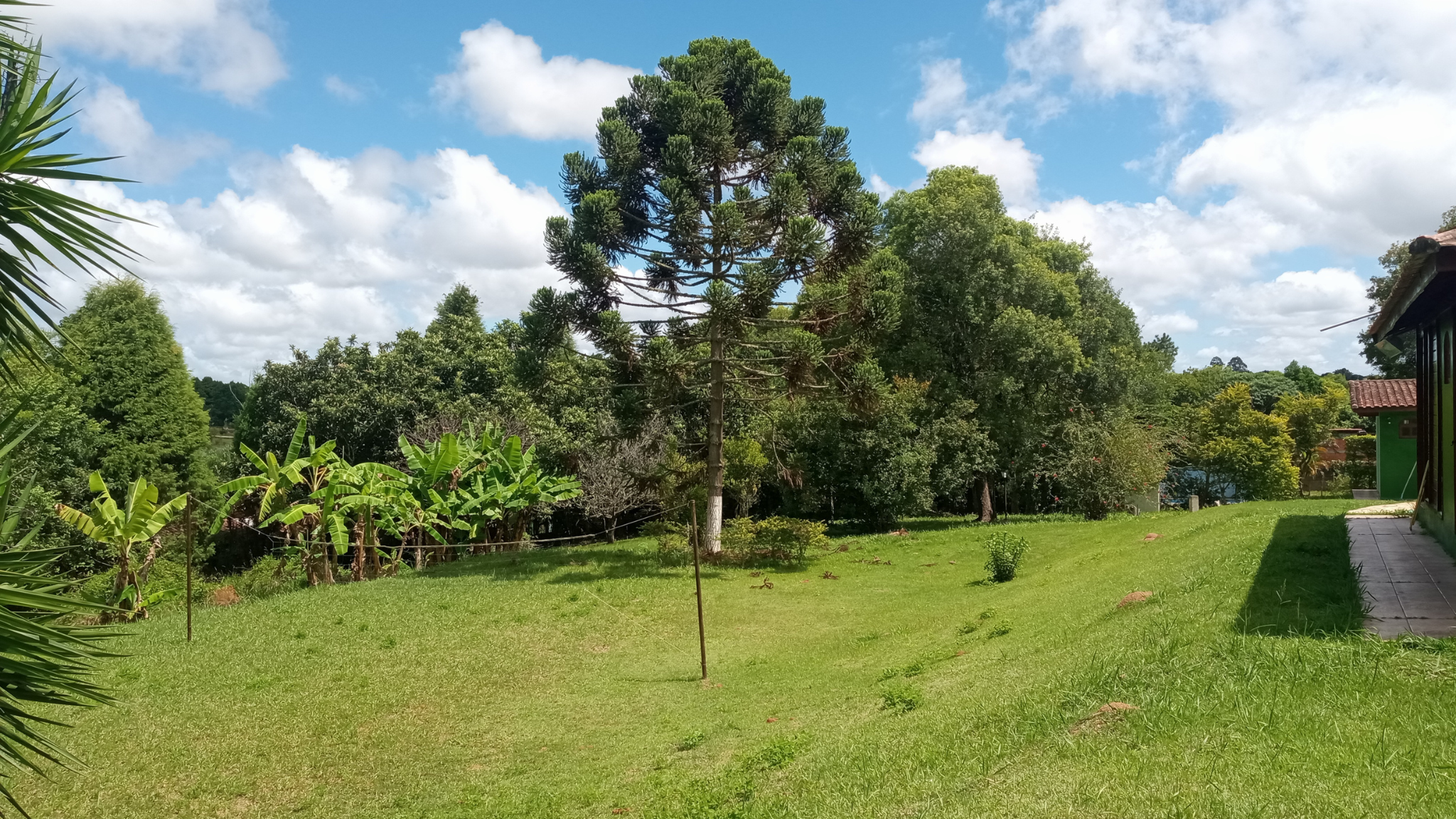 Imagem Chácara com 3 Quartos à Venda ou Temporada, 3.500 m² em Lajeadinho  - Ibiúna