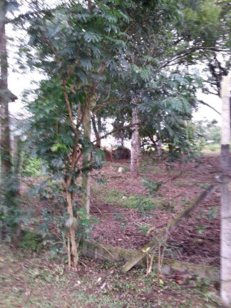 Terreno à Venda, 1.000 m² em Parque Rincão - Cotia