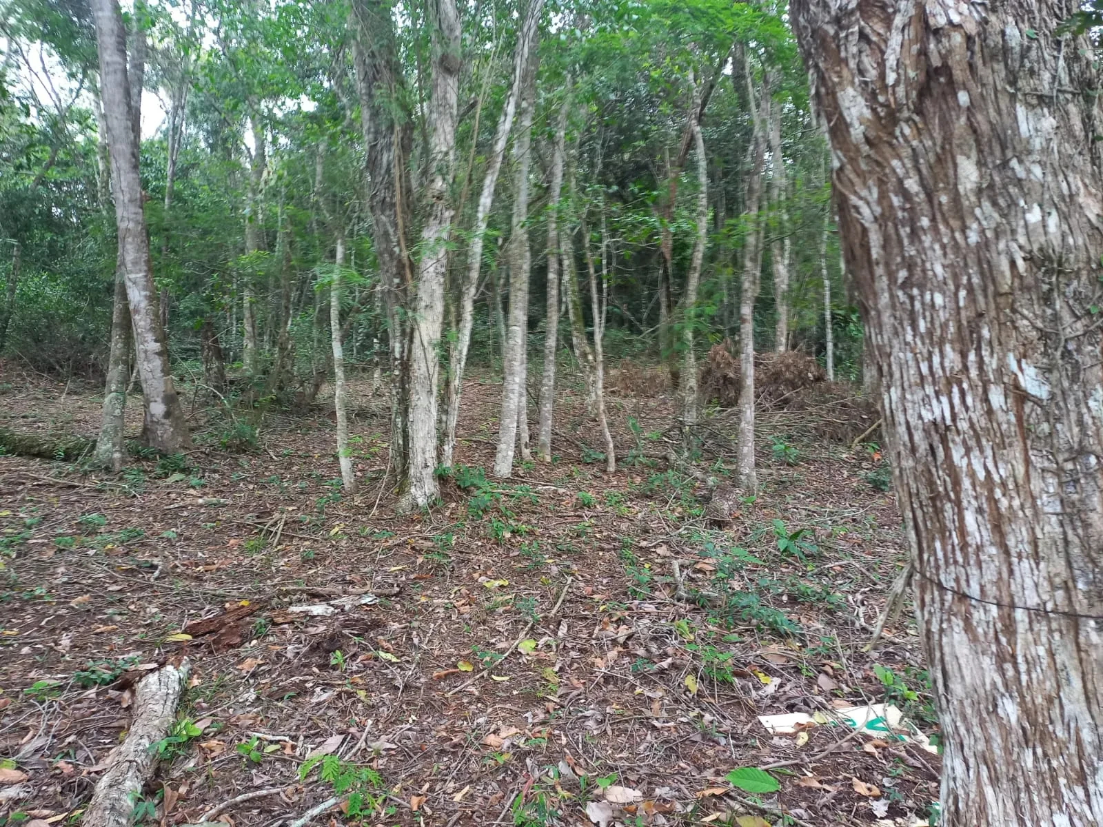 Imagem Terreno em Condomínio à Venda, 360 m² em Rio do Ouro - Niterói