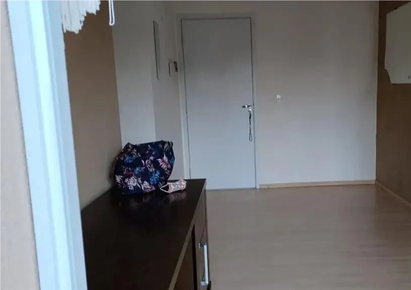Imagem Apartamento com 2 Quartos à Venda, 54 m² em Jardim América da Penha - São Paulo