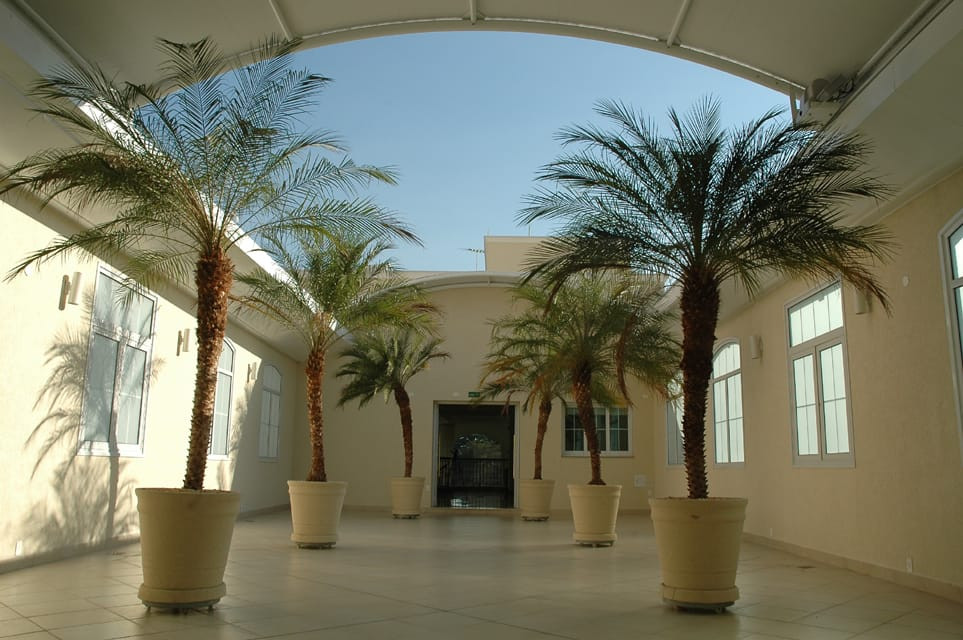 Imagem Imóvel Comercial à Venda ou Locação, 1 m² em Vila Mariana - São Paulo