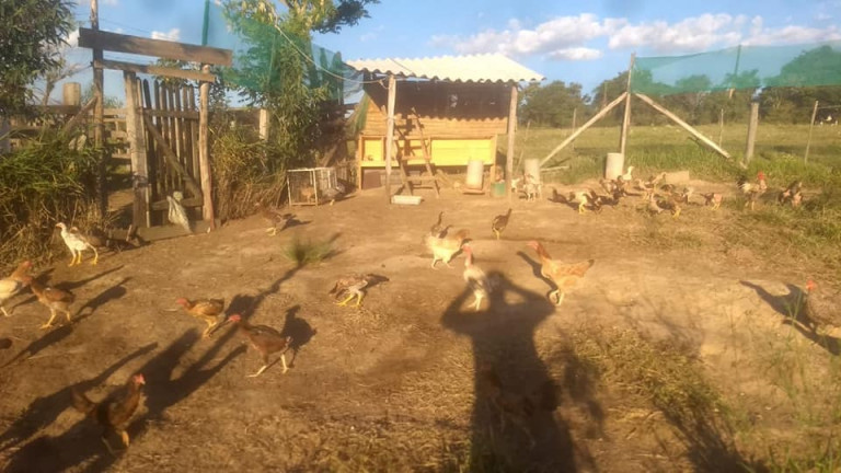 Imagem Fazenda à Venda, 36.000 m² em Aparecidinha - Araçoiaba da Serra