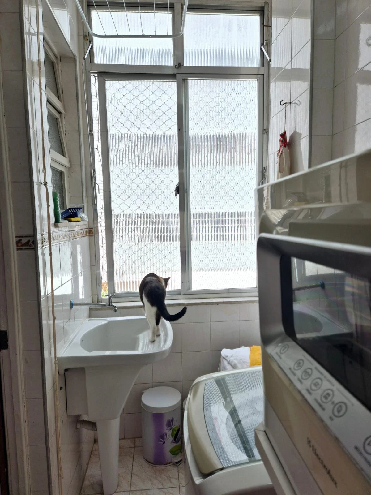 Imagem Apartamento com 2 Quartos à Venda, 80 m² em Lins de Vasconcelos - Rio de Janeiro