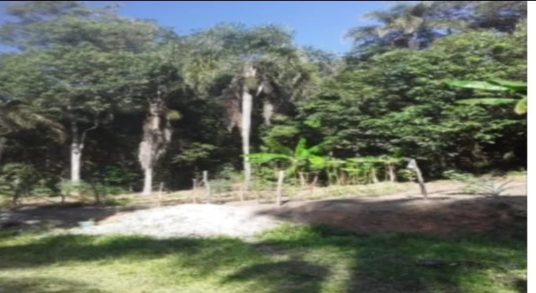Imagem Imóvel com 1 Quarto à Venda, 29.700 m² em Mombaça - Itapecerica da Serra