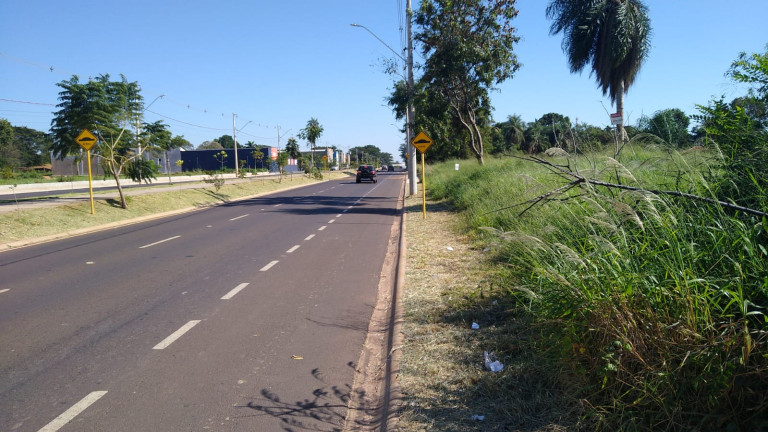 Imagem Terreno à Venda, 5.000 m² em Chácaras TV - Araçatuba