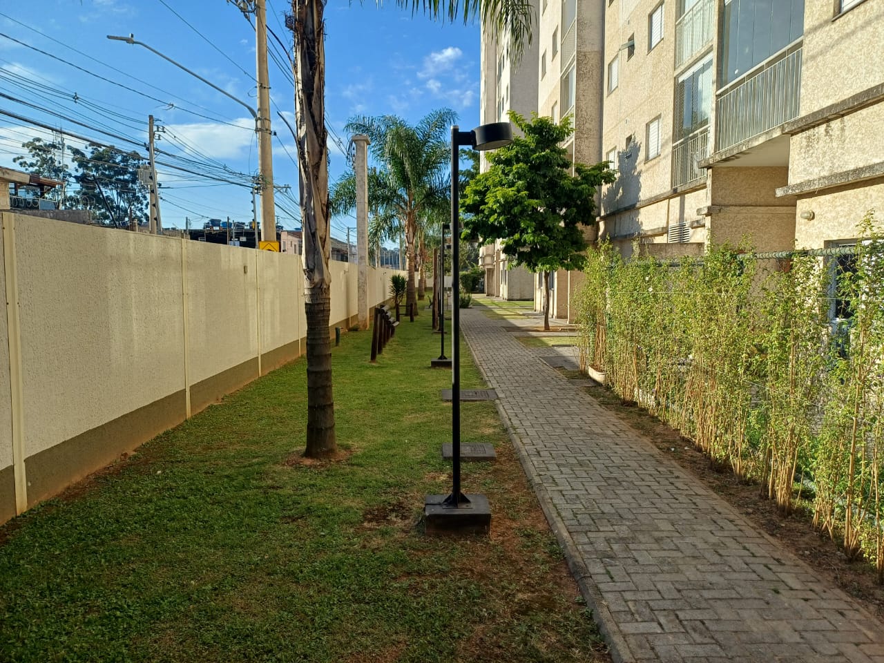 Imagem Apartamento com 3 Quartos à Venda, 66 m² em Jardim Modelo - São Paulo