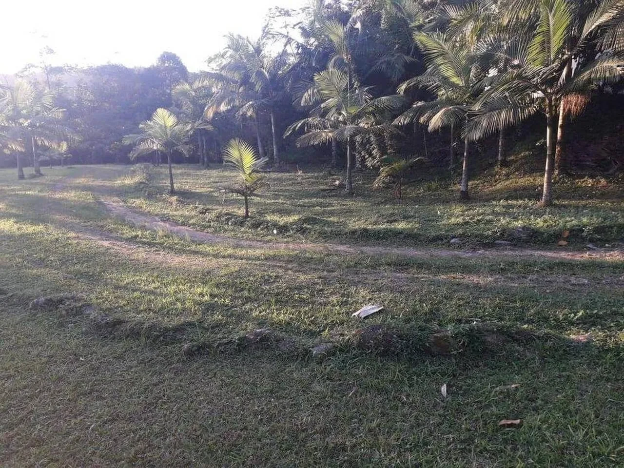 Imagem Terreno à Venda, 302000 m² em Juquiá - Juquiá