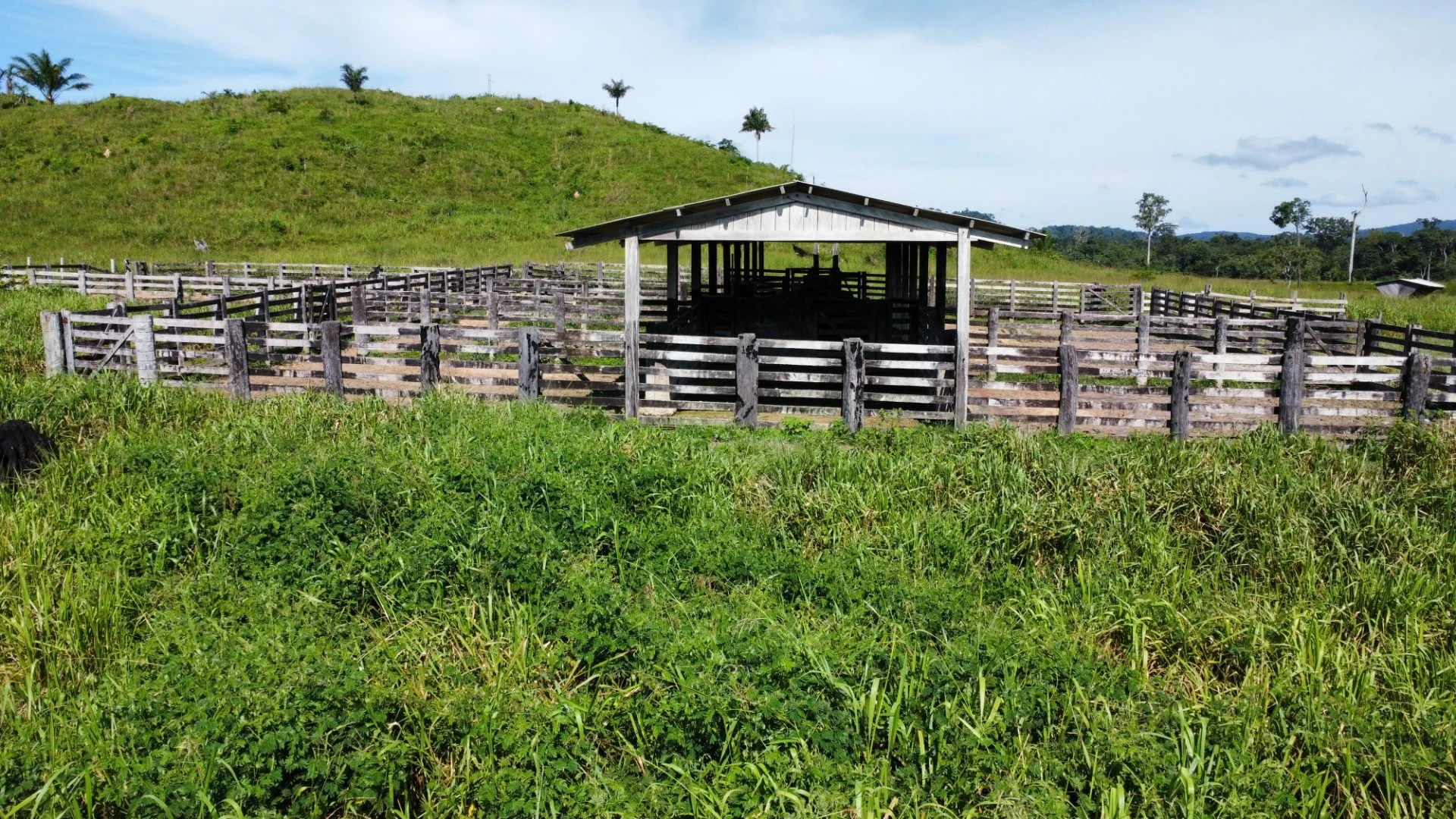 Foto do imóvel: Fazenda à Venda, 900 Alq. GO em São Félix do Xingu - São Félix do Xingu