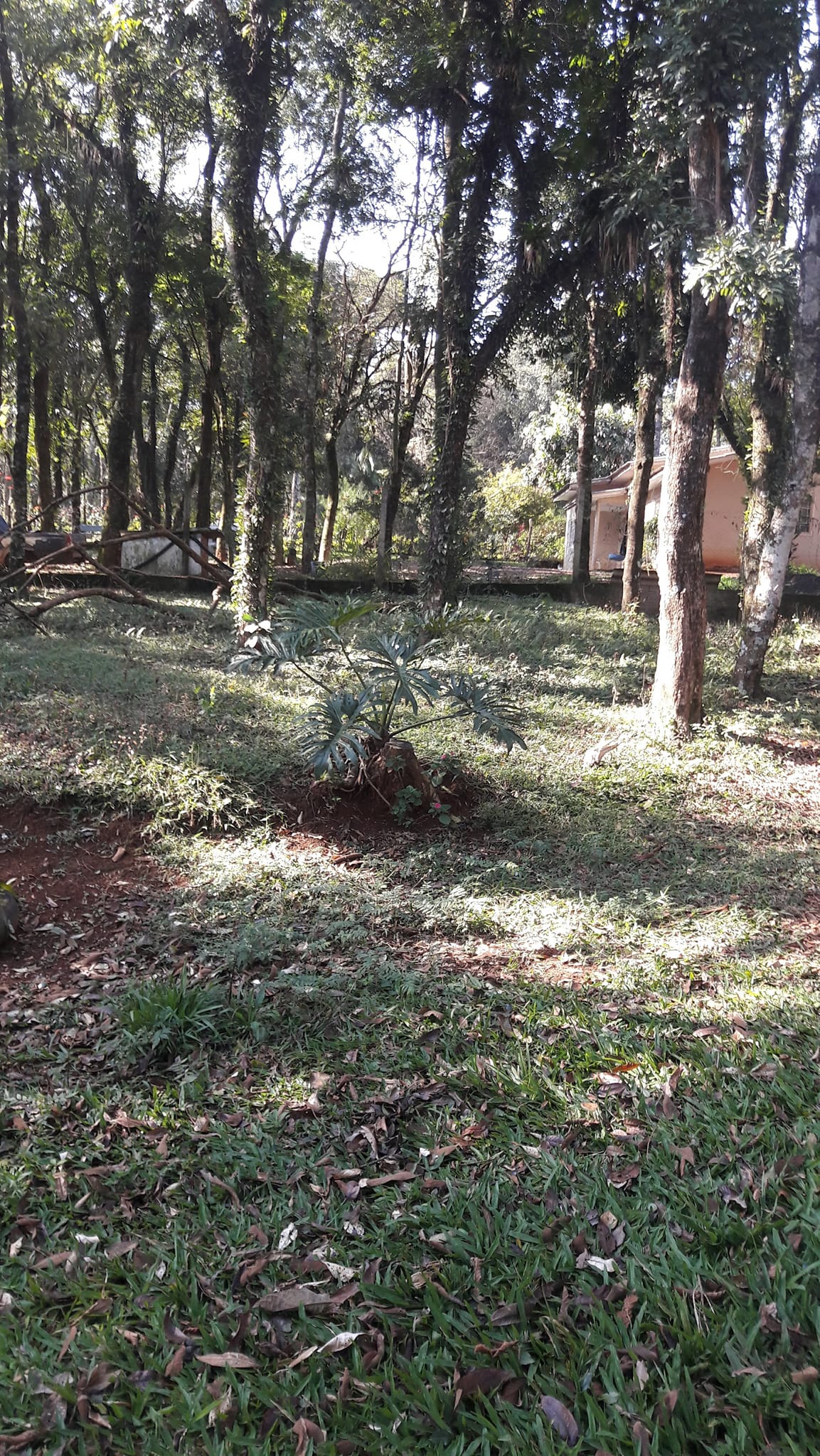 Foto do imóvel: Terreno à Venda, 3.200 m²em Efapi - Chapecó