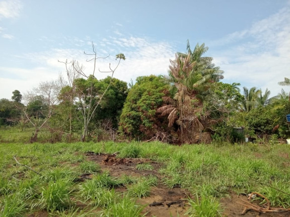 Imagem Terreno à Venda, 2.000 m² em Zona Rural - Humaitá