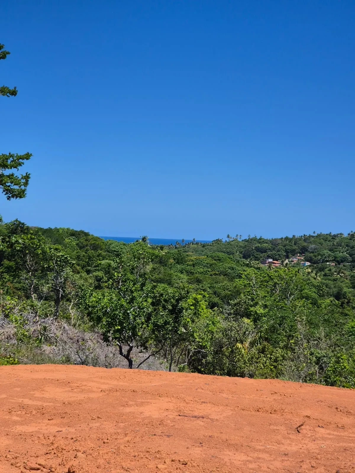 Imagem Terreno à Venda, 250 metros em Mata de São João - Mata de São João