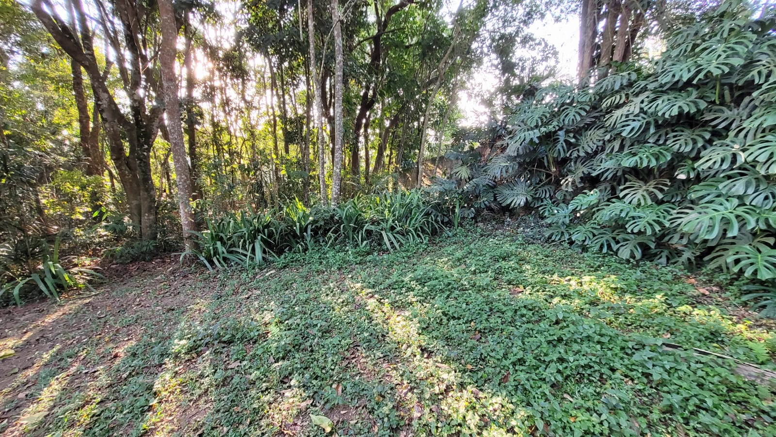 Imagem Casa de Condomínio com 2 Quartos à Venda, 120 m²em Jardim Colibri - Embu das Artes