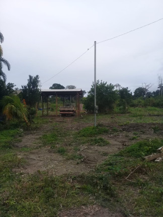 Imagem Fazenda à Venda, 837 HA em Área Rural de Santarém - Santarém
