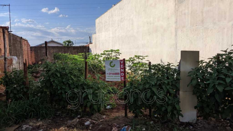 Imagem Terreno à Venda, 163 m² em Parque São Paulo (vila Xavier) - Araraquara