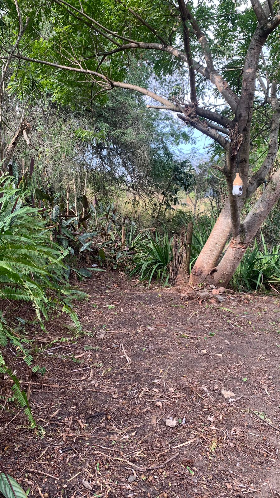 Foto do imóvel: Terreno à Venda, 17.850 m² em Realengo - Rio de Janeiro