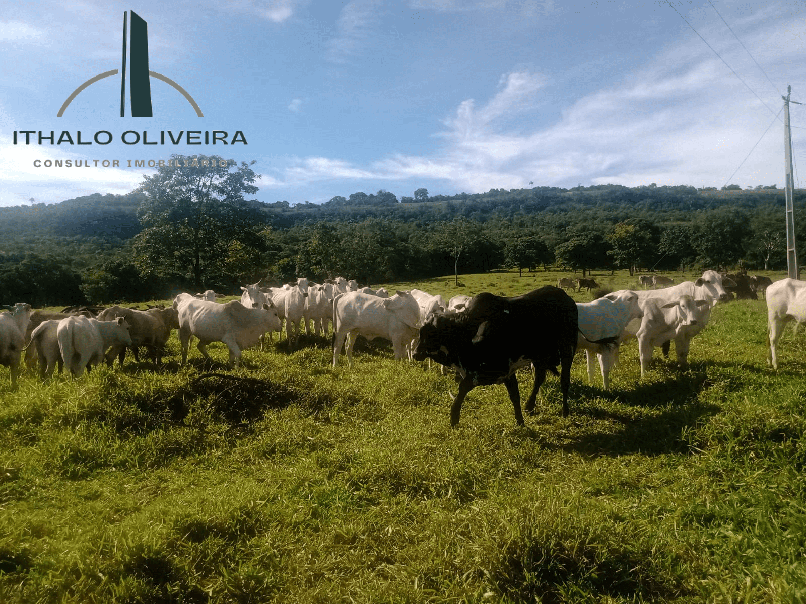 Imagem Chácara com 8 Quartos à Venda, 29 m²em Zona Rural - Paranaiguara