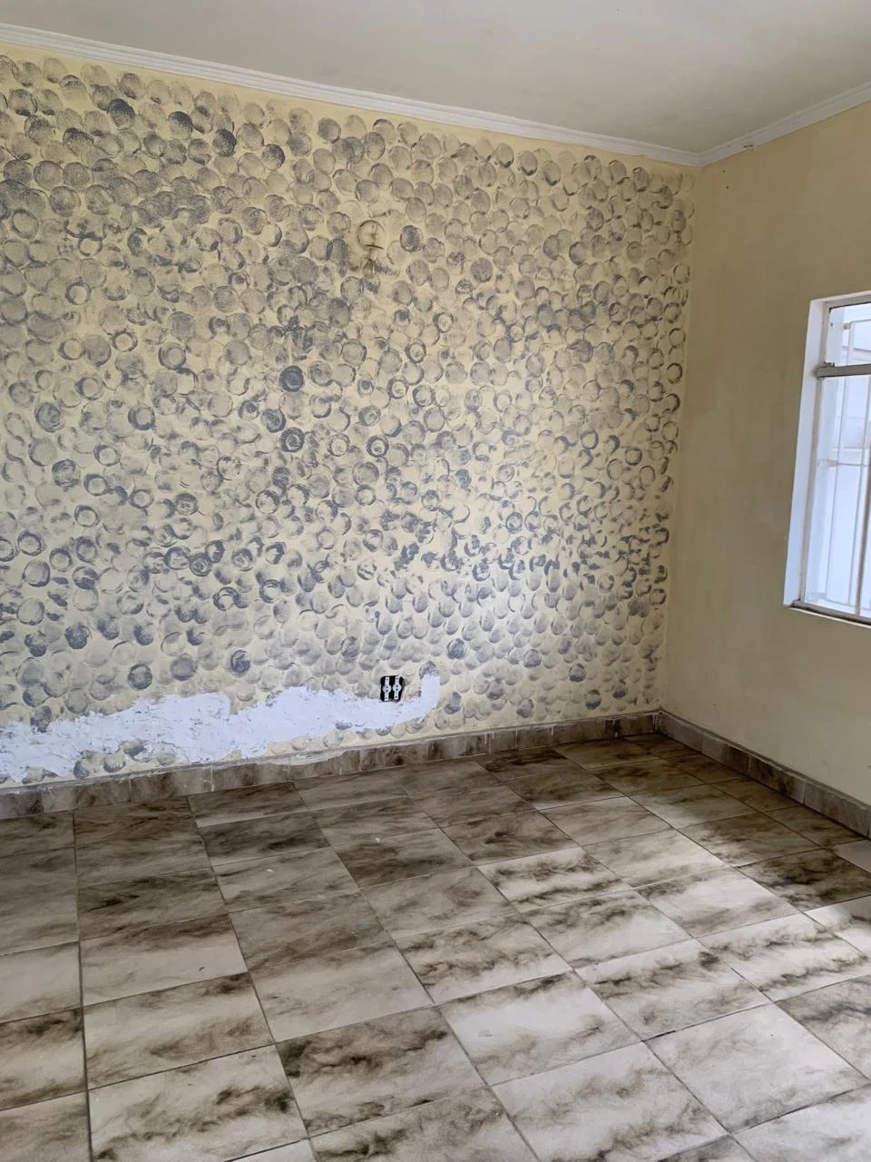 Imagem Casa com 5 Quartos à Venda, 250 m² em Vila Califórnia - São Paulo