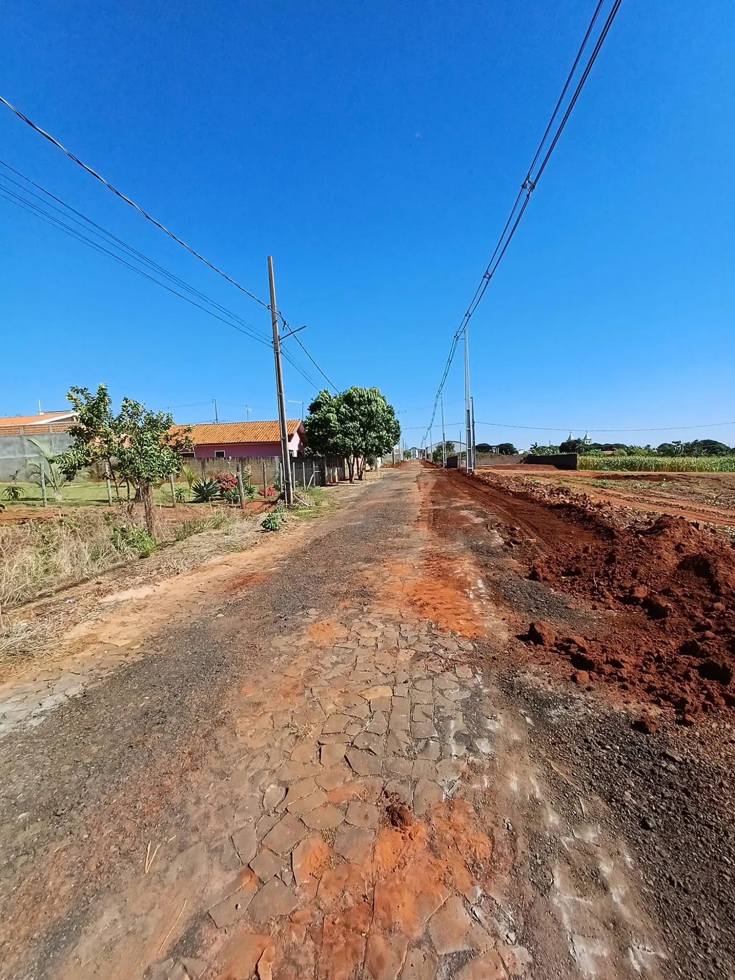 Imagem Chácara à Venda, 4000 m² em Pitangueiras - Pitangueiras