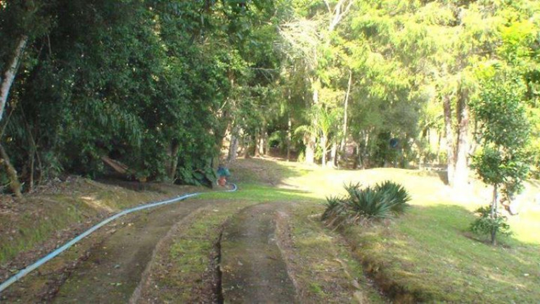 Imagem Chácara com 3 Quartos à Venda, 96.800 m² em Jardim Santa Esmeralda - Sorocaba