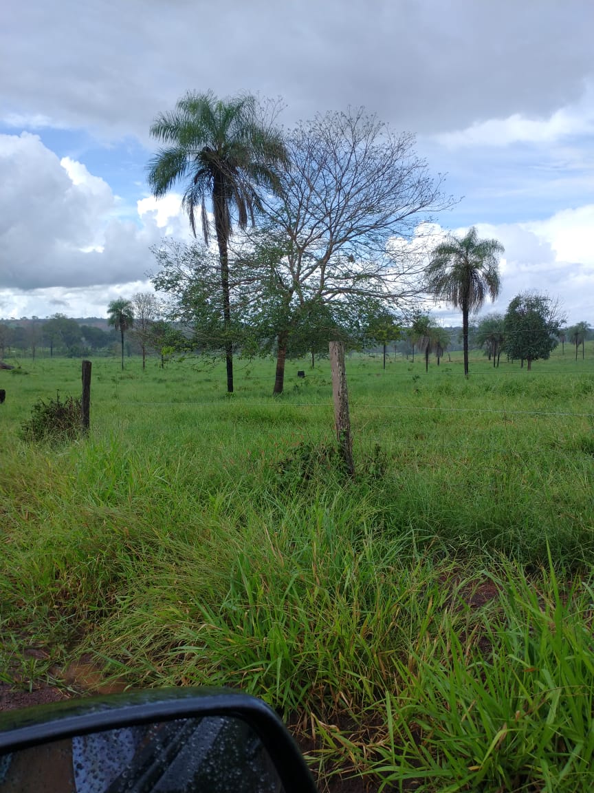 Imagem Fazenda à Venda, 2 HAem Zona Rural - Campinápolis