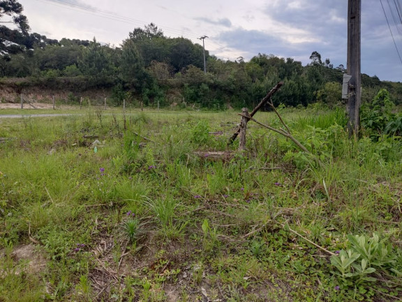 Terreno à Venda, 1.480 m² em LEÃO - Agudos do Sul